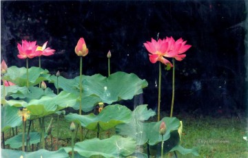 フラワーズ Painting - xsh0425b 写真の花から現実的